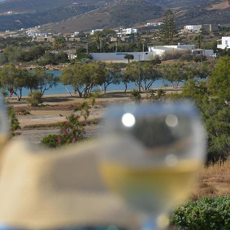 Thalasea - Village Antiparos Town Exteriér fotografie