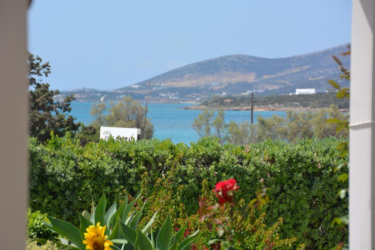 Thalasea - Village Antiparos Town Exteriér fotografie