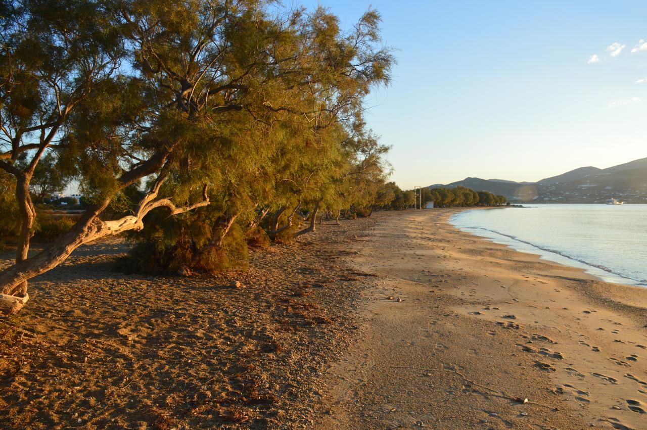 Thalasea - Village Antiparos Town Exteriér fotografie